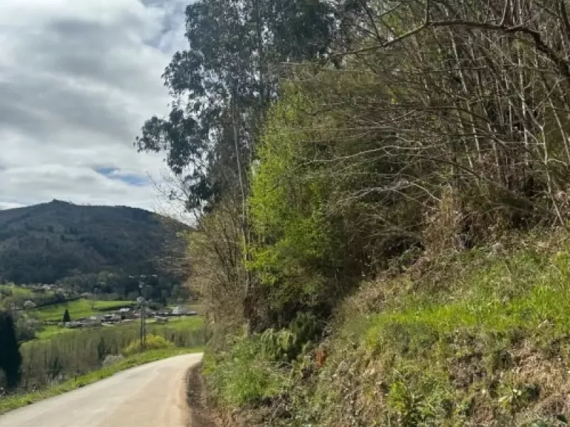 Limpieza de cunetas en la carretera local de Paredes