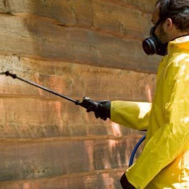 pocería en Asturias