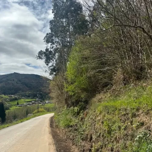 Limpieza de cunetas en la carretera local de Paredes