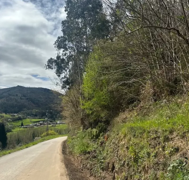 Limpieza de cunetas en la carretera local de Paredes